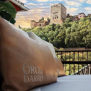 3* 公寓式酒店 Bibo Oro Del Darro